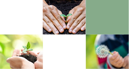 环境、健康与安全(EHS)